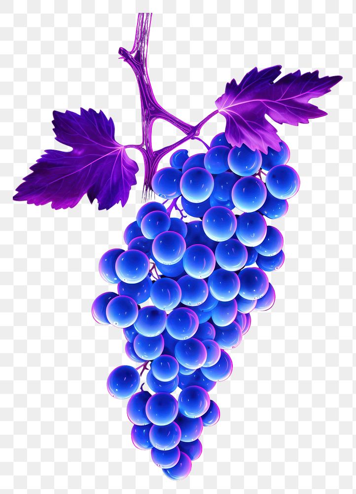 PNG Illustration grapes neon rim light purple fruit plant.