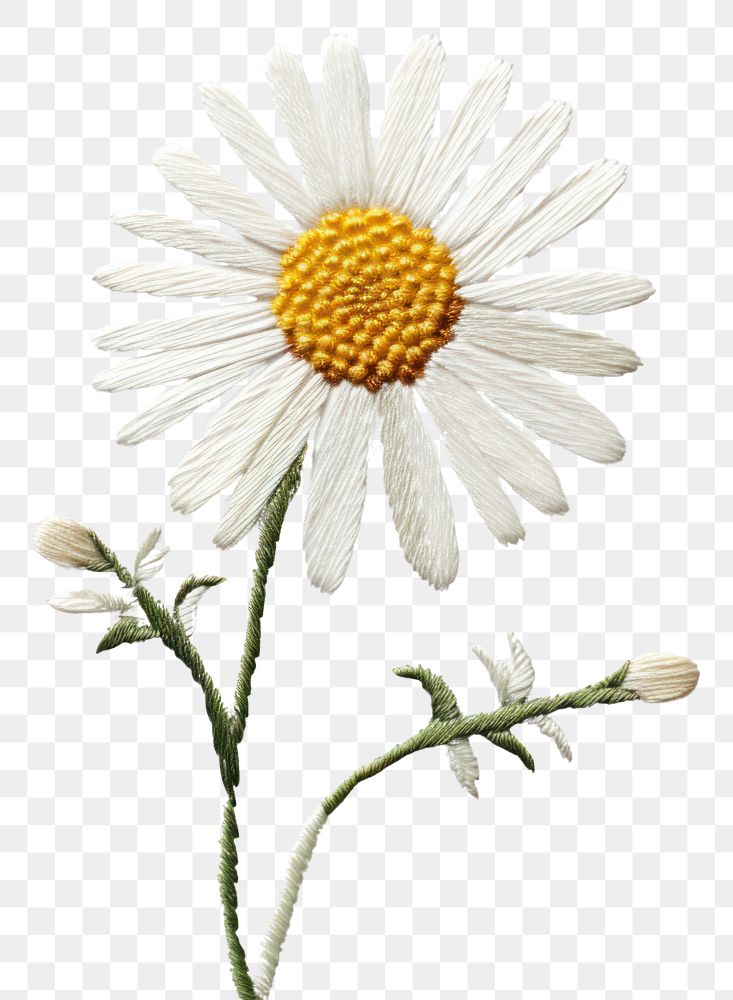 PNG Daisy in embroidery style flower petal plant.