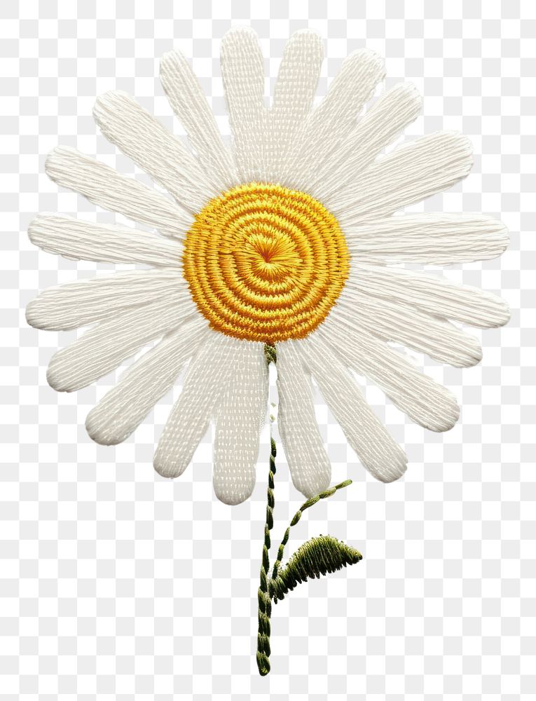 PNG Daisy in embroidery style pattern flower plant.