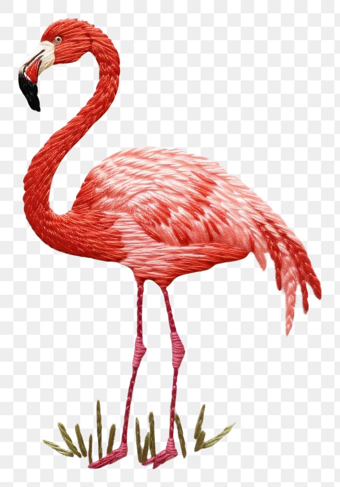 PNG Flamingo in embroidery style animal bird beak.