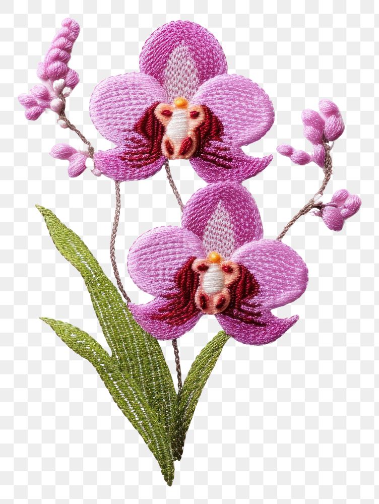 PNG Orchid new year in embroidery style blossom flower plant.