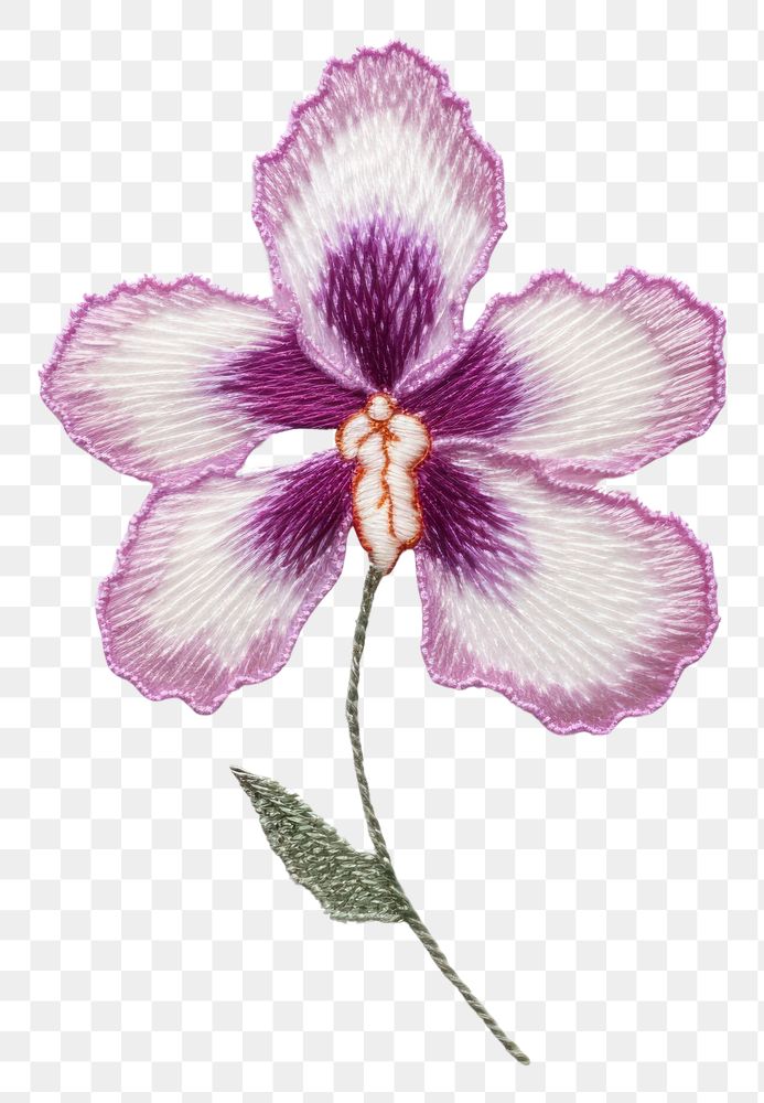 PNG Orchid in embroidery style pattern flower plant.