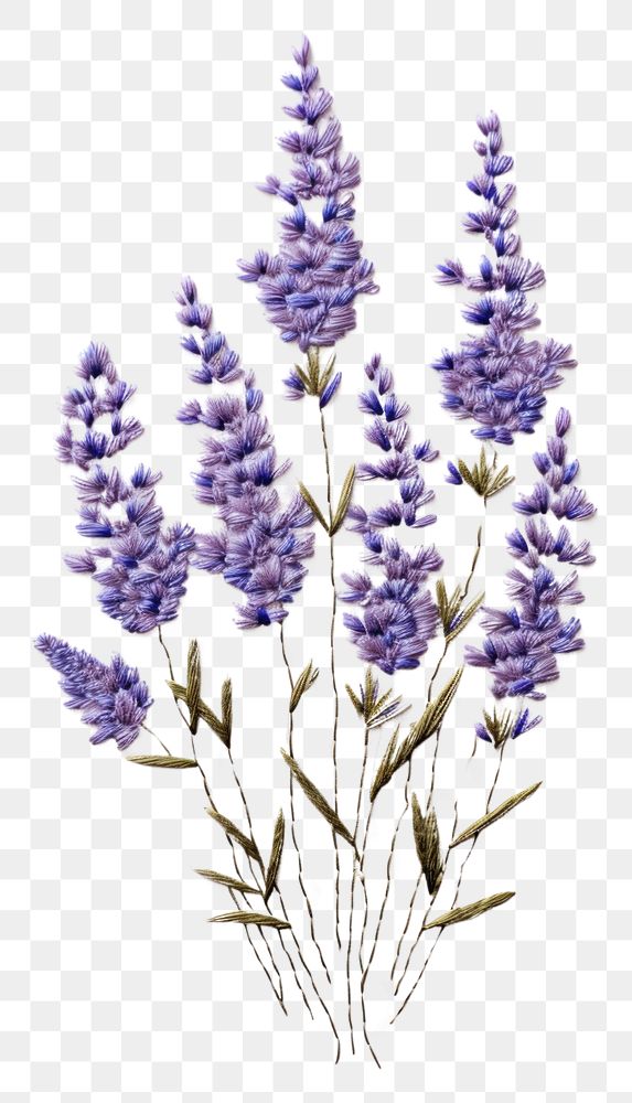 PNG Lavender in embroidery style blossom pattern flower.