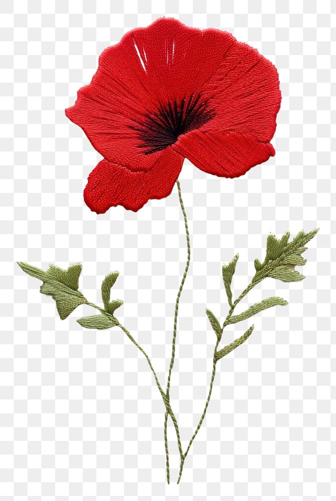 PNG Poppy in embroidery style flower plant inflorescence.