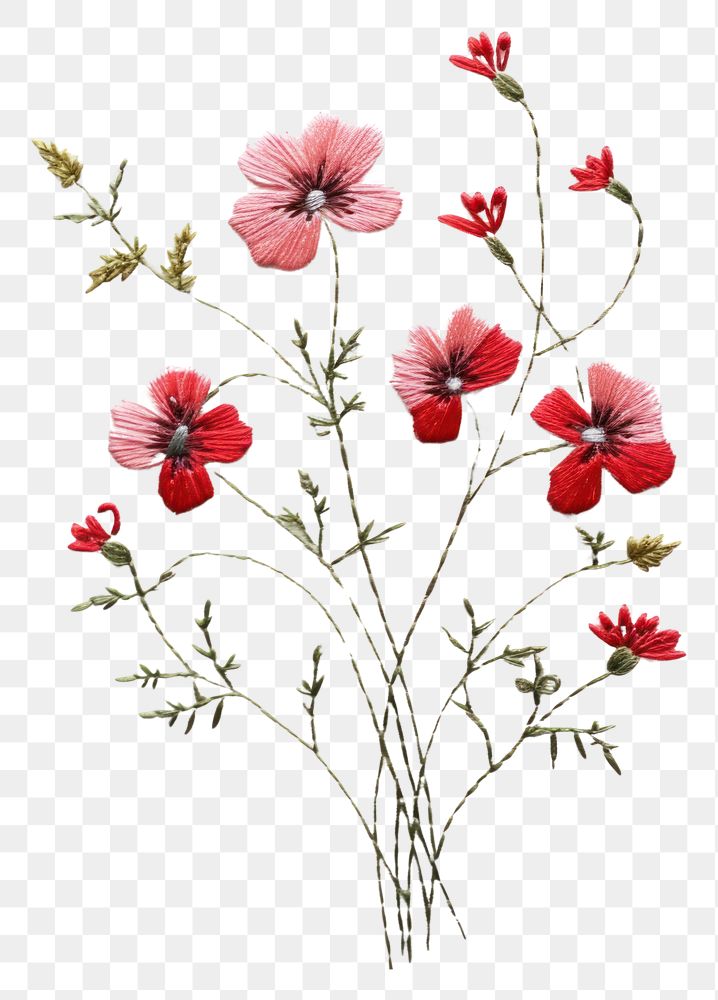 PNG Wildflower in embroidery style plant art inflorescence.