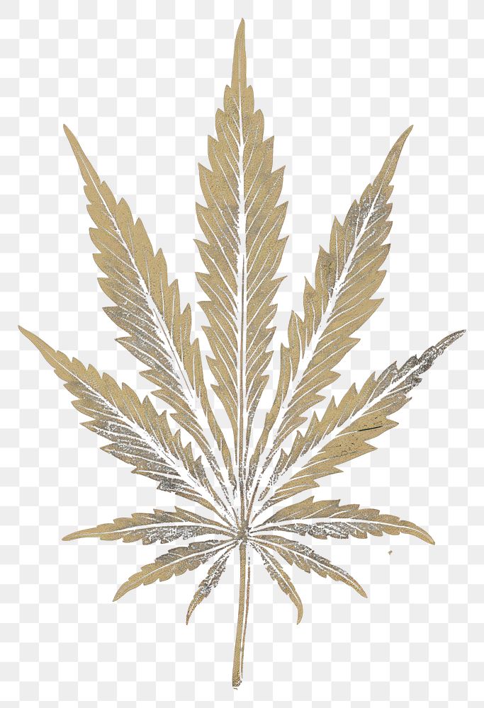 PNG Silkscreen illustration of marijuana plant leaf astronomy.