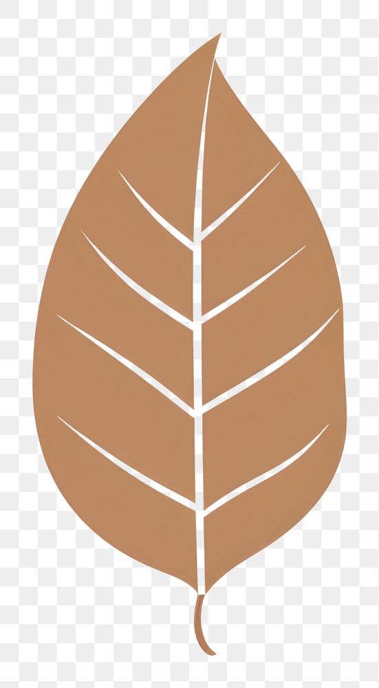 PNG  Illustration of a simple coffee leaf plant pattern tobacco.