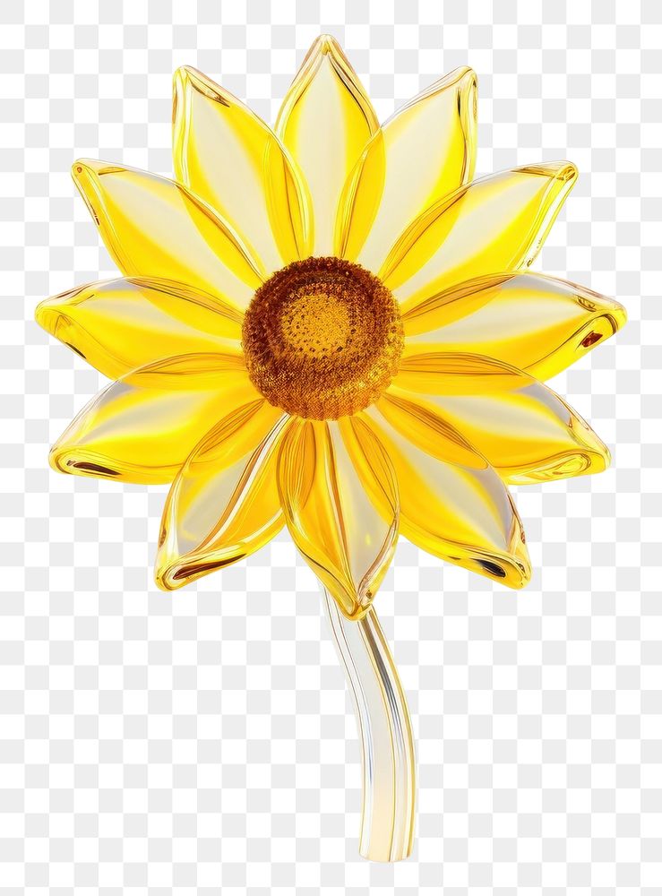 PNG  Sunflower shape petal plant daisy.
