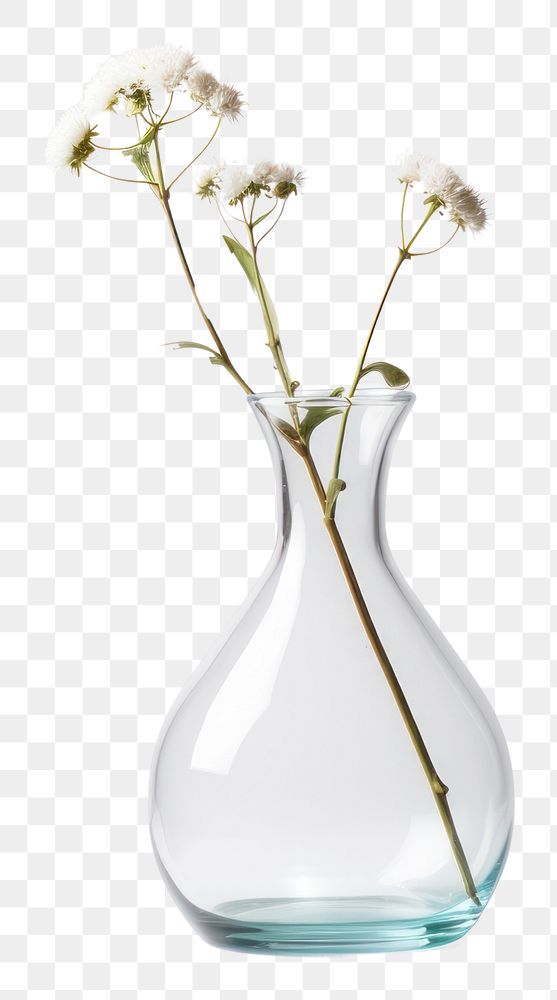 PNG Minimal vase transparent flower white background.