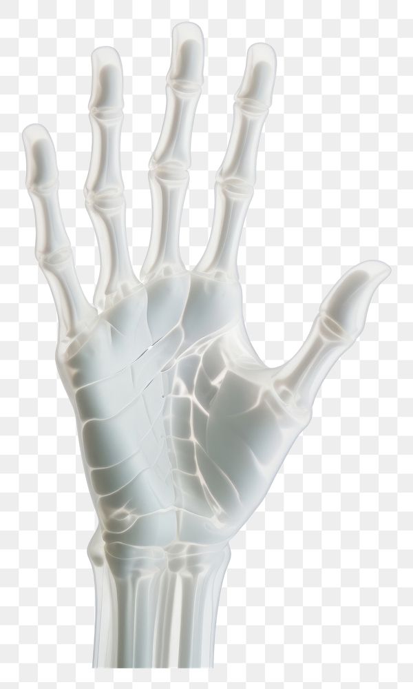 PNG Skeleton hand finger x-ray radiography.