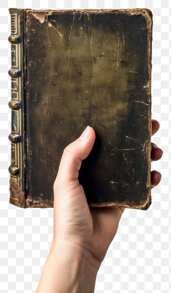 PNG  Hand Holding Bible publication holding book. AI generated Image by rawpixel.