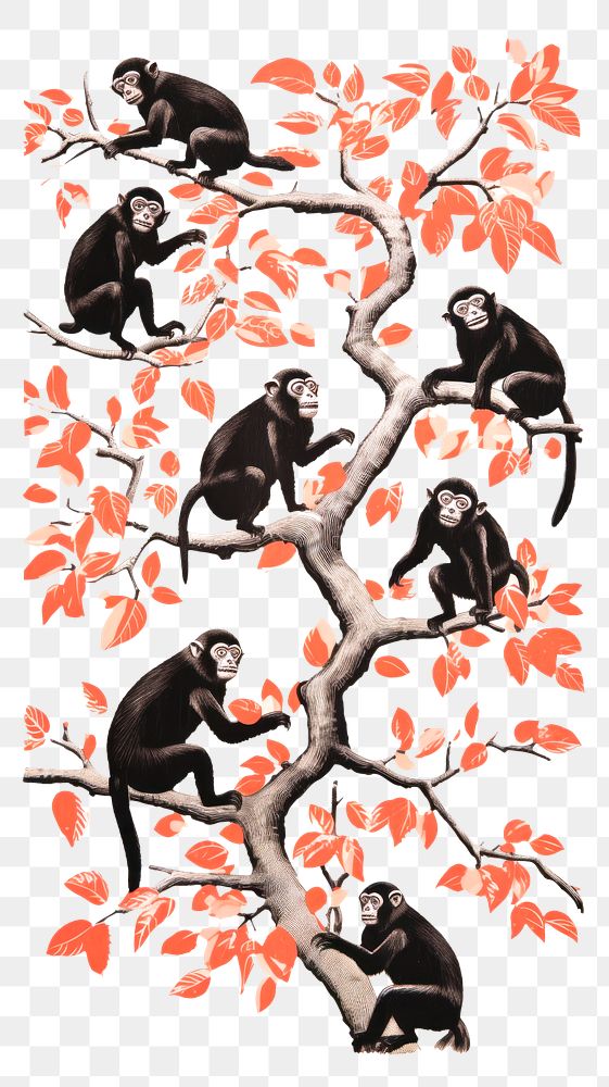 PNG Monkeys wildlife animal mammal.