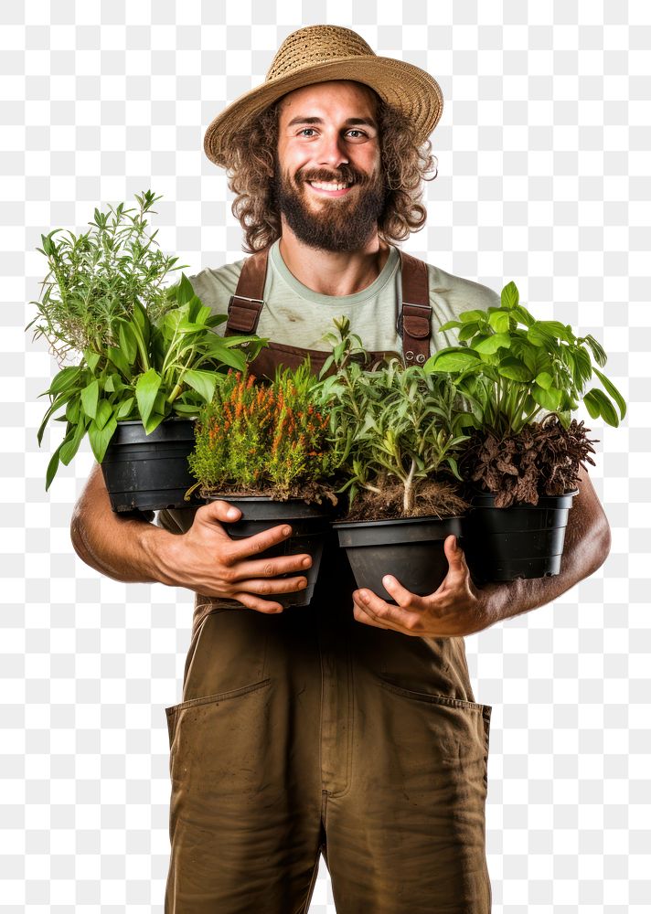 PNG  Man gardener plant gardening holding. AI generated Image by rawpixel.