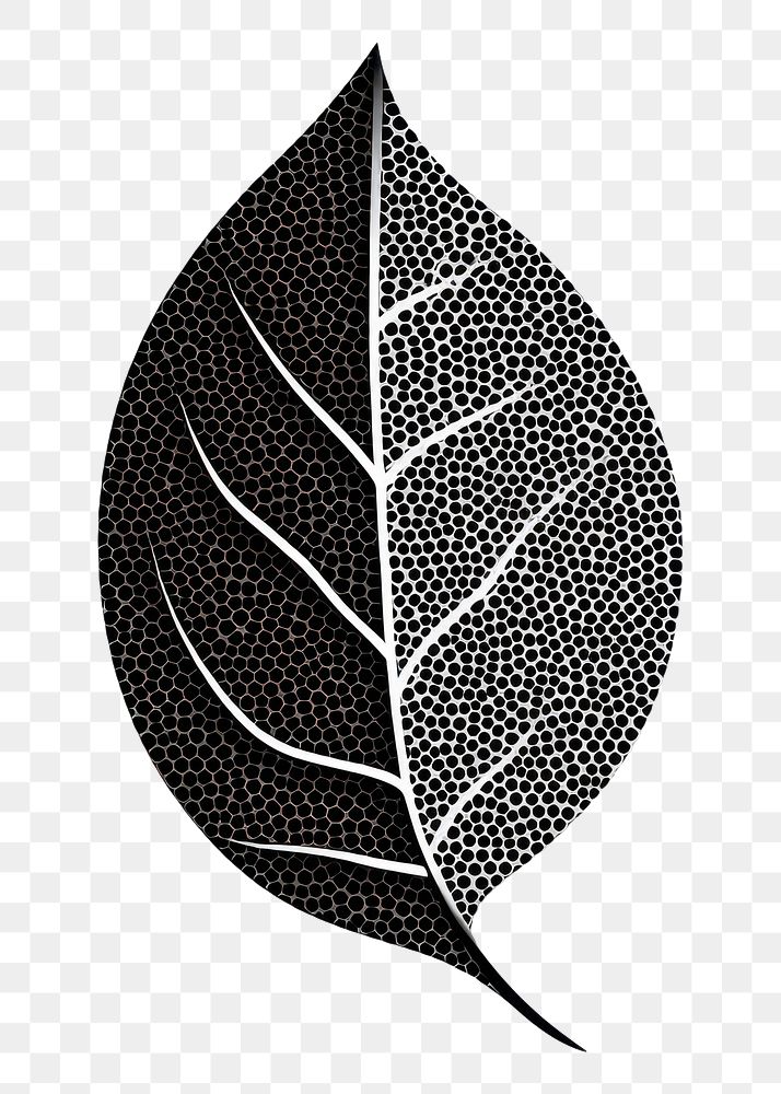 PNG Plant leaf black monochrome.
