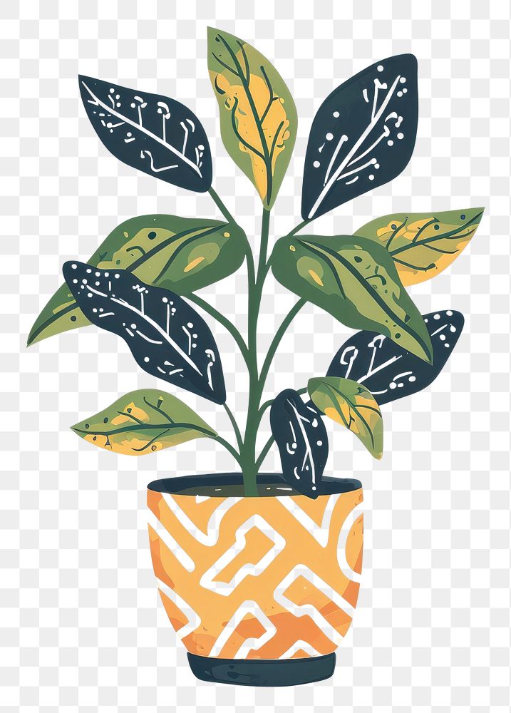 PNG Plant flowerpot leaf creativity.