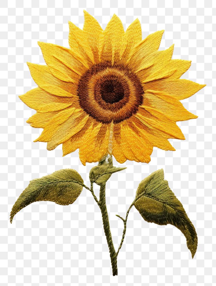 PNG A sunflower in embroidery style plant inflorescence creativity.