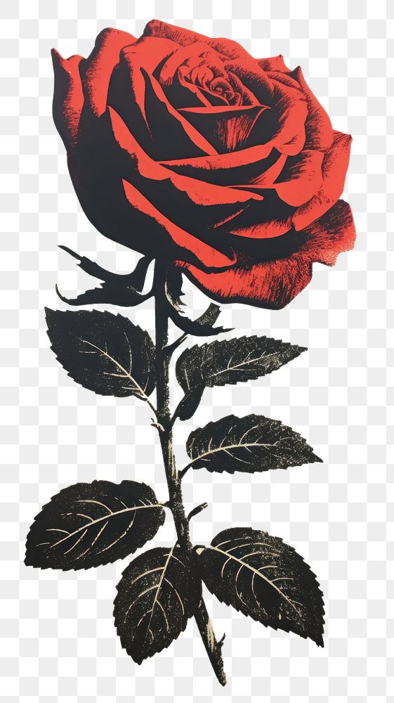 PNG Vintage Rose rose pattern flower. 