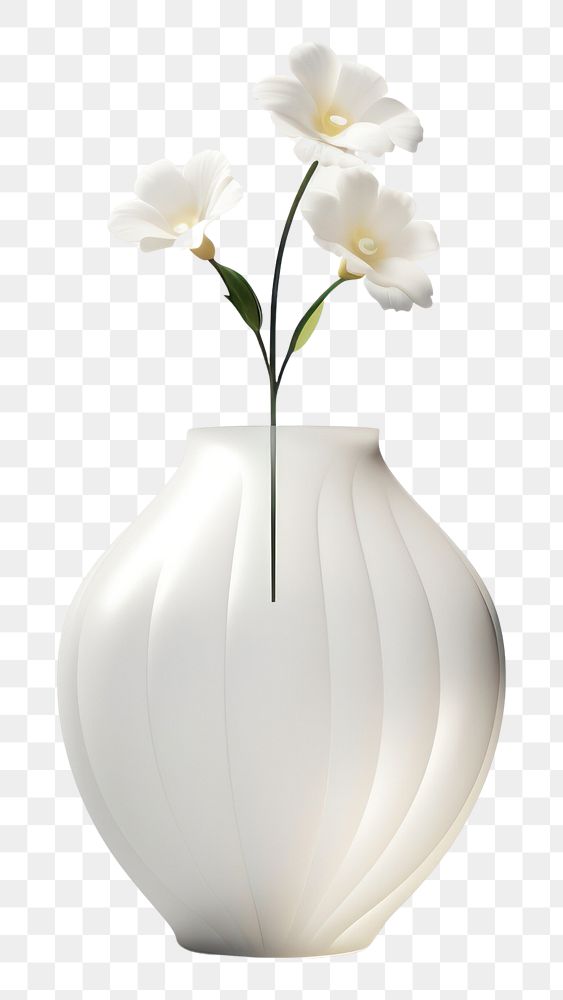 PNG Orchid flower petal plant white.