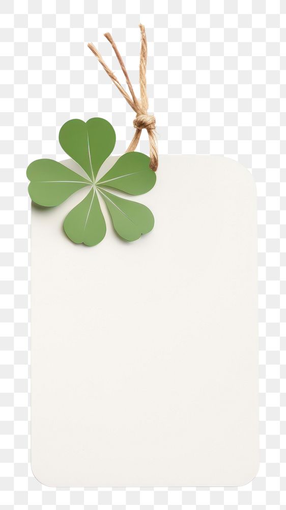 PNG Four-leaf clover plant herbs white background.