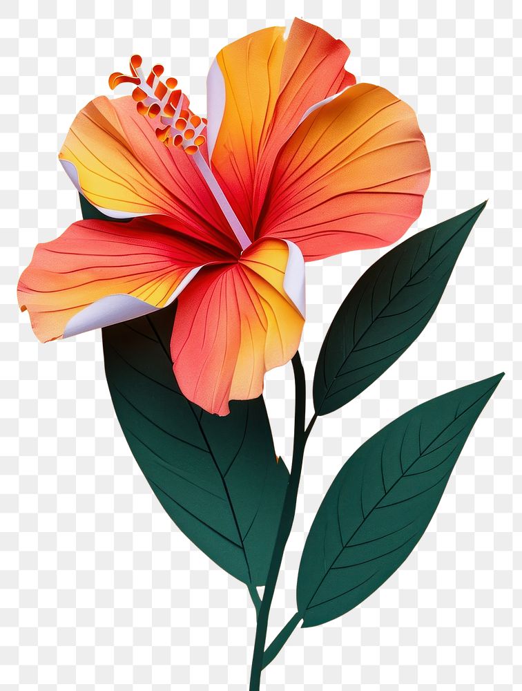 PNG Paper cutout of a tropical flower hibiscus petal plant.