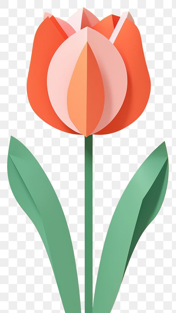 PNG Paper cutout of a Tulip flower tulip plant art.