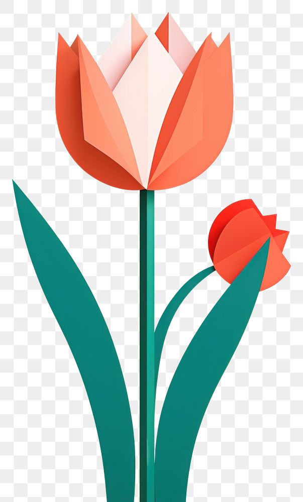 PNG Paper cutout of a Tulip flower tulip art plant.