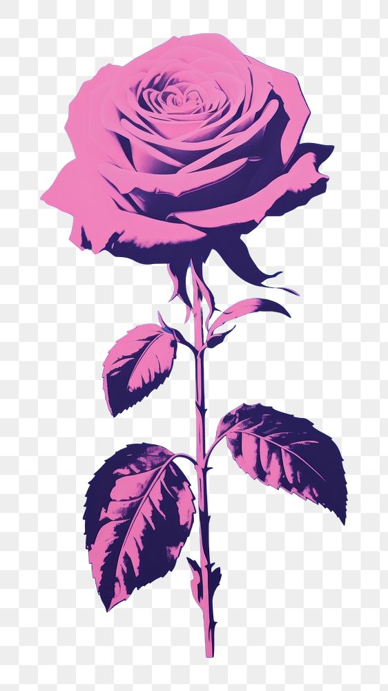 PNG Minimal of a purple rose flower plant art. AI generated Image by rawpixel.
