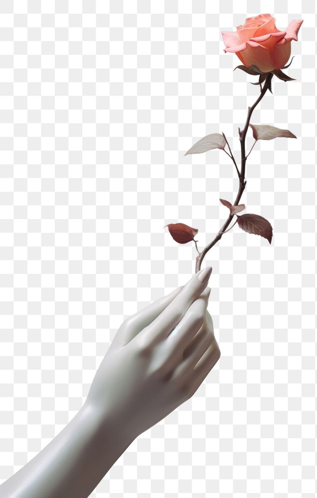 PNG A statue holding a flower plant petal adult. AI generated Image by rawpixel.
