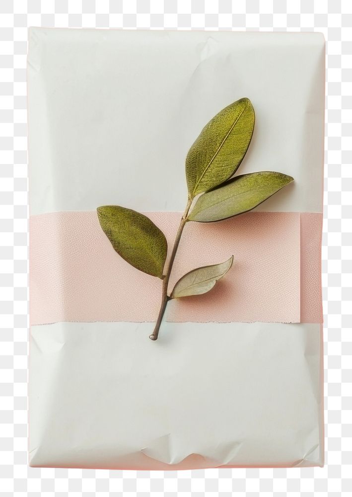 PNG  Packaging mockup paper plant leaf.