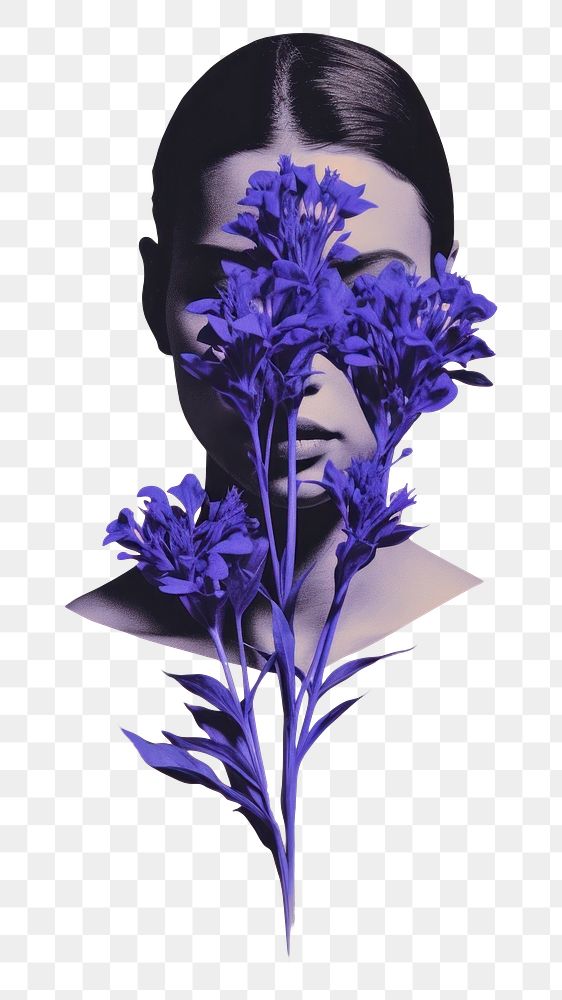 PNG Purple flowers art lavender plant. AI generated Image by rawpixel.