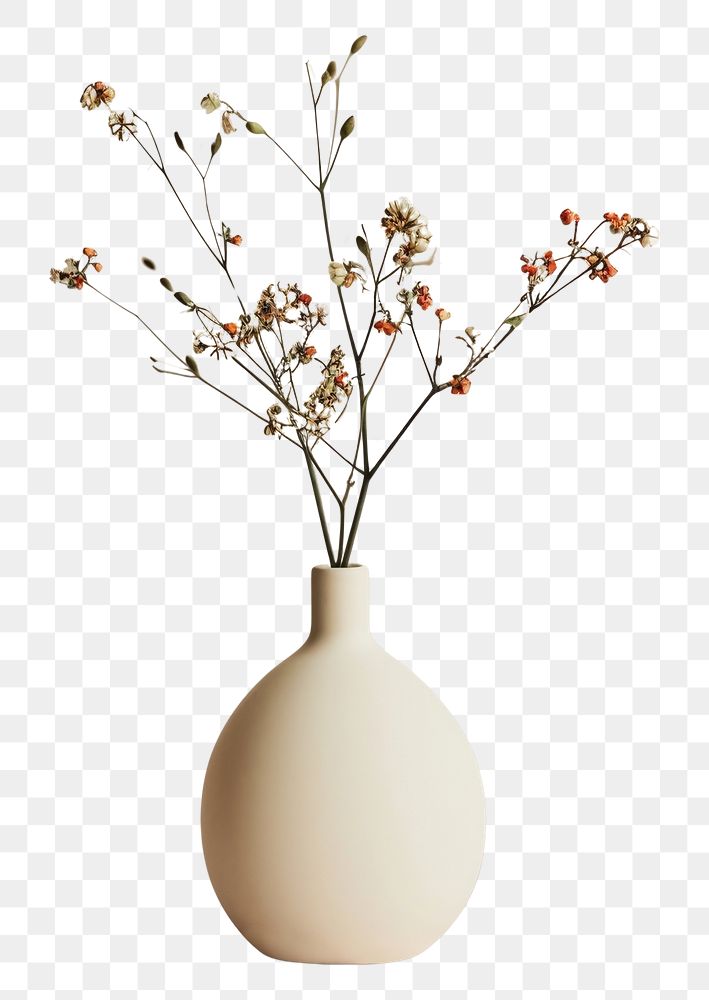 PNG Ceramic vase mockup flower ceramic plant.