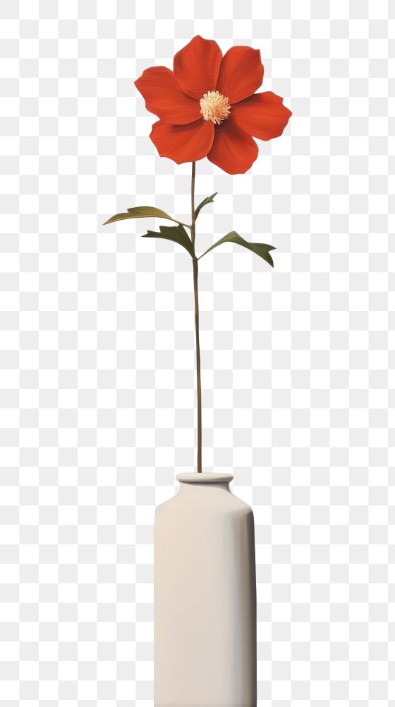 PNG Minimal flower petal plant vase.