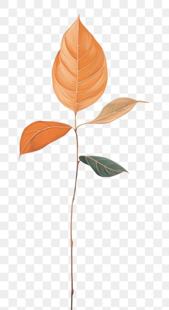 PNG Leaf painting plant tree.