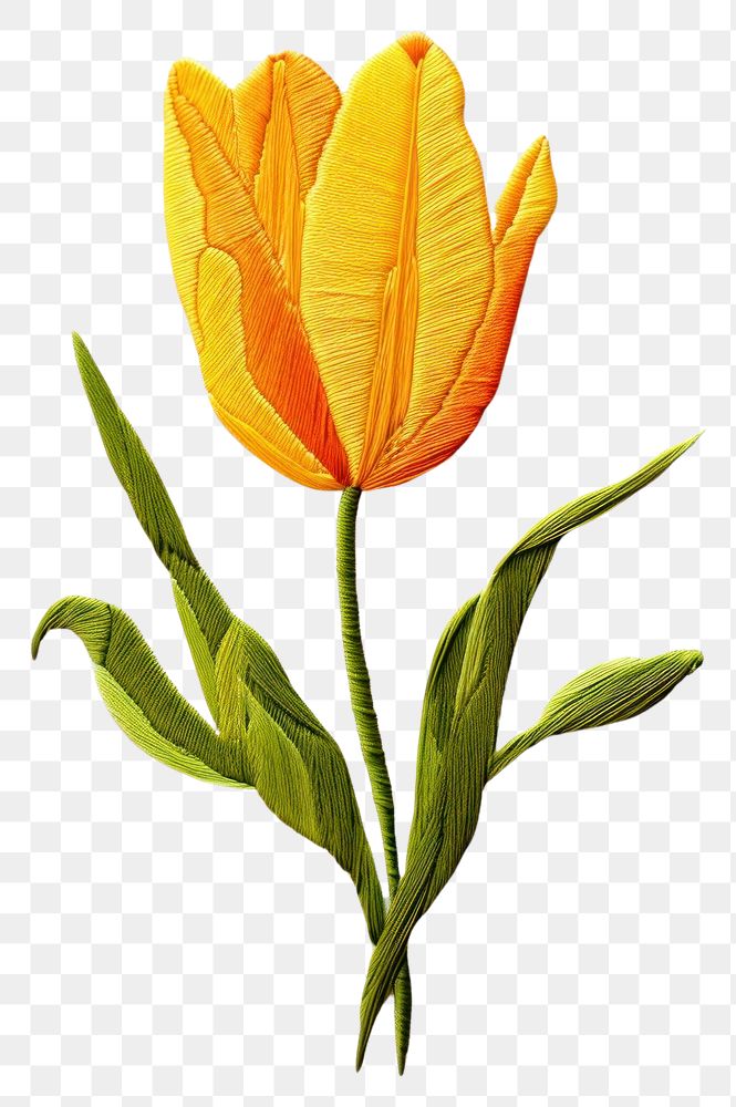 PNG Embroidery style yellow tulip white fabric leaves.