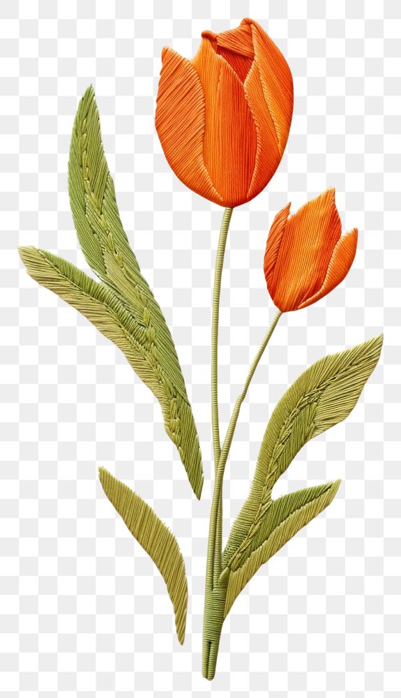 PNG Embroidery style orange tulip white fabric leaves.