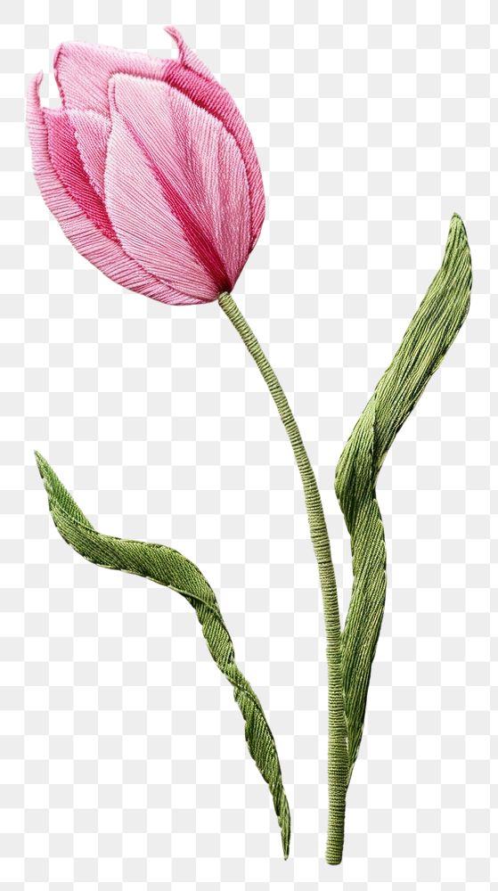PNG Embroidery style white fabric pink tulip leaves.