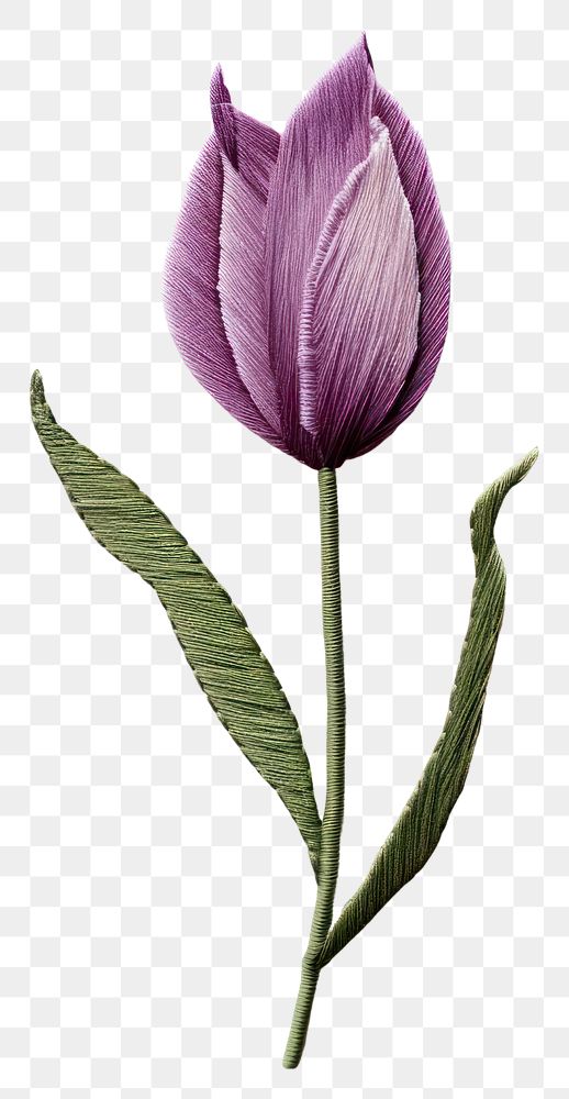 PNG Embroidery style purple tulip white fabric leaves.