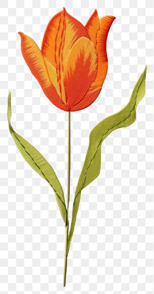 PNG Embroidery style orange tulip white fabric leaves.