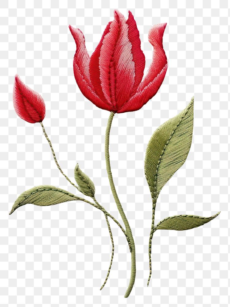 PNG Embroidery style white fabric red tulip pattern.
