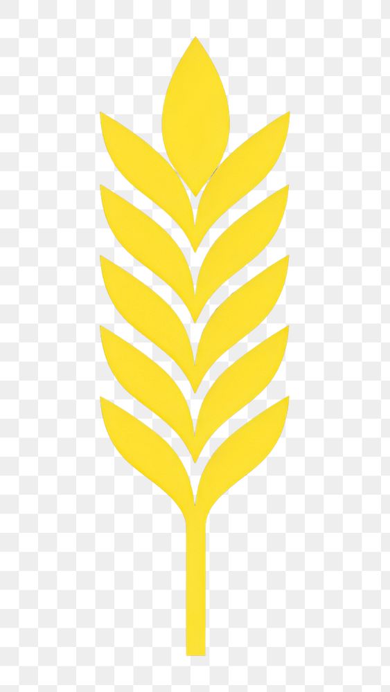 PNG  Wheat icon yellow agriculture triticale.