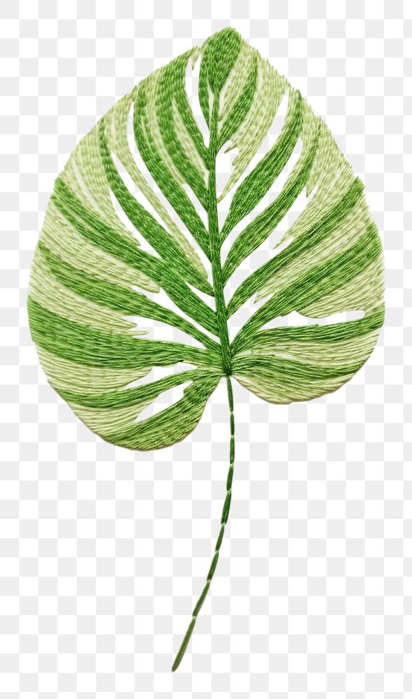 PNG Botanical leave plant leaf pattern drawing.