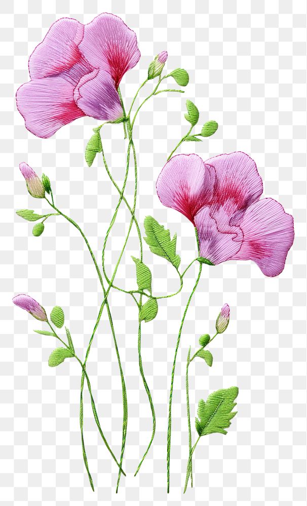 PNG Sweet pea flower embroidery plant petal.