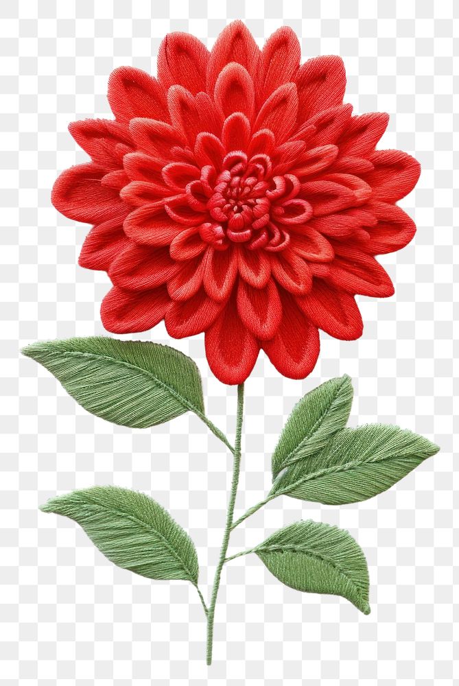 PNG Dahlia in embroidery style pattern flower plant.