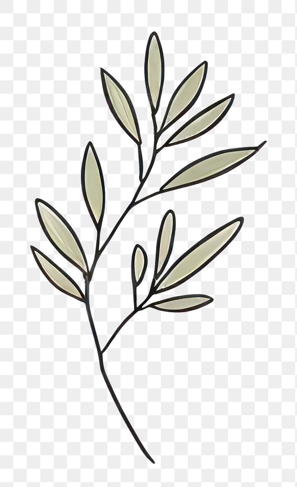 PNG Pattern drawing sketch plant.