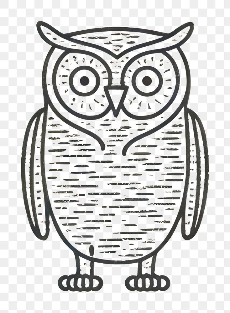 PNG Bird owl creativity cartoon.
