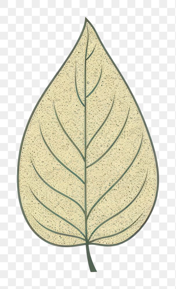 PNG Nature plant leaf pattern.