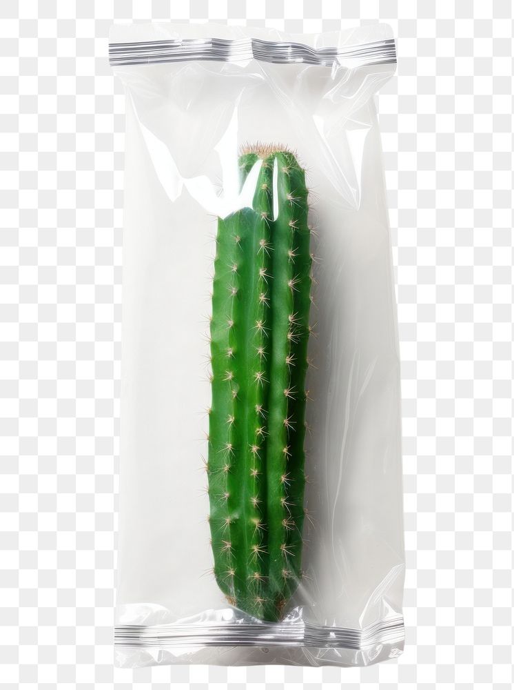 PNG  Plastic wrapping over a cactus plant food white background.