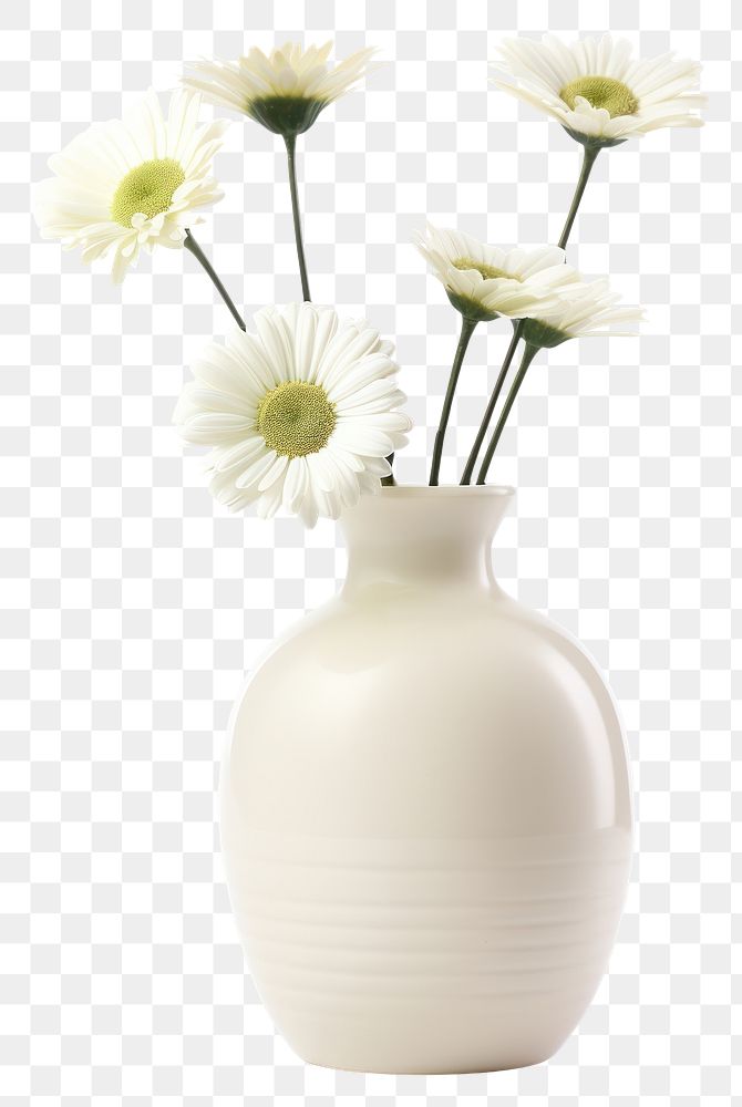 PNG Pottery off-white flower vase pottery asteraceae beverage.