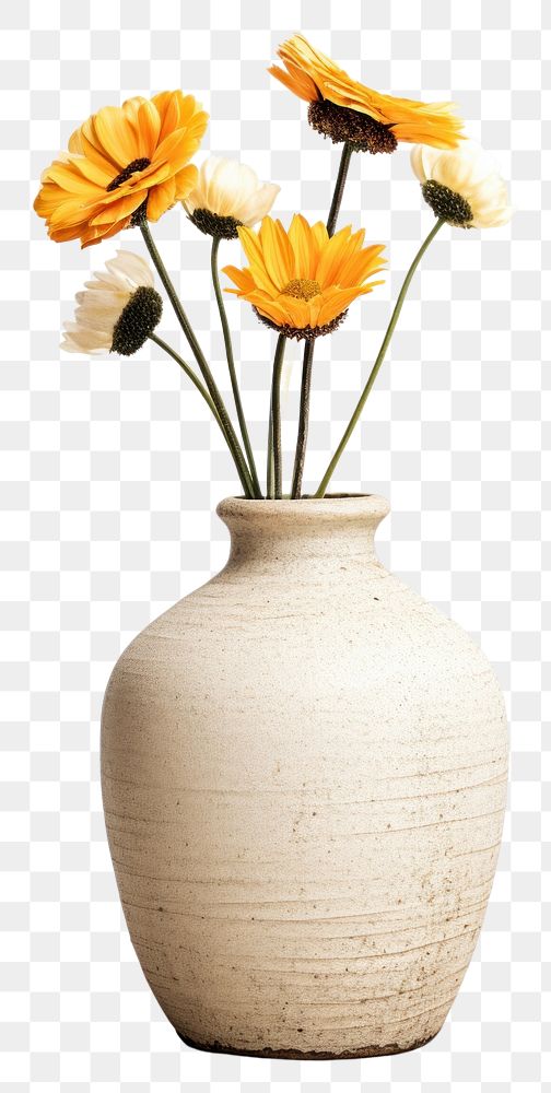 PNG Pottery off-white flower vase pottery cookware blossom.