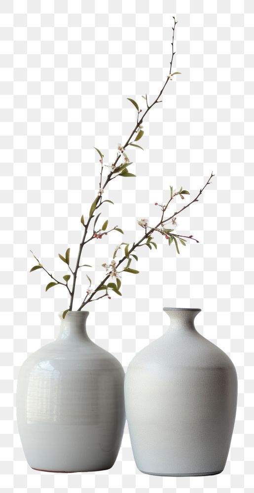 PNG Pottery off-white flower vase pottery porcelain beverage.